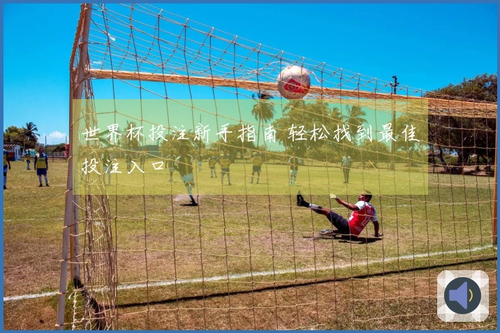 世界杯投注新手指南 轻松找到最佳投注入口