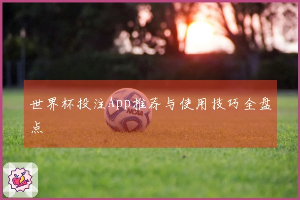 世界杯投注App推荐与使用技巧全盘点