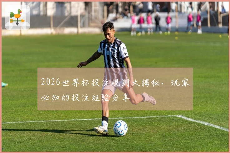 2026世界杯投注规则大揭秘，玩家必知的投注经验分享