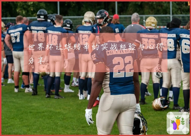 世界杯让球赔率的实战经验与心得分享