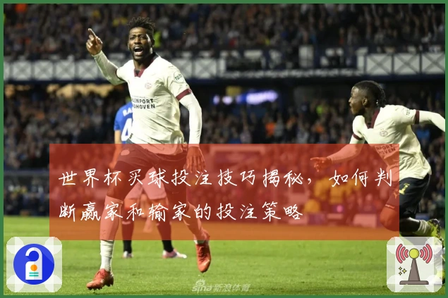 世界杯买球投注技巧揭秘，如何判断赢家和输家的投注策略